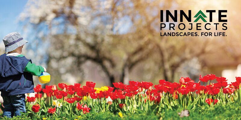 Innate Projects Inc.