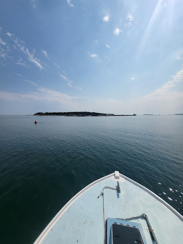 Top of the Island Boat Tours