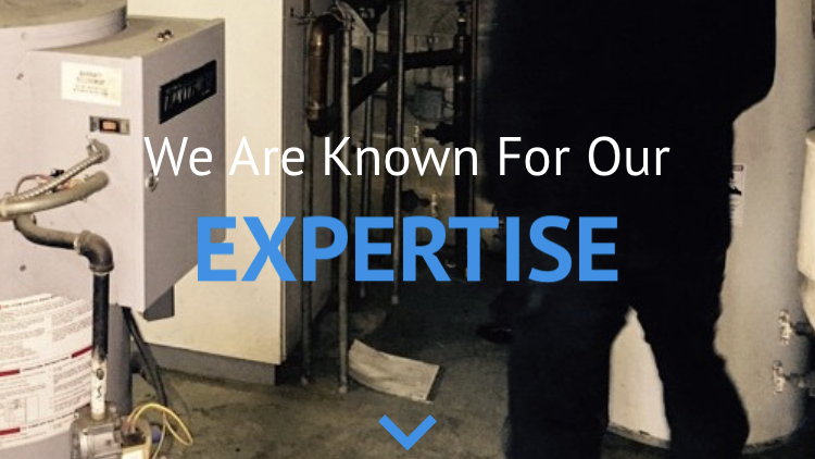 Pure Mechanical Group Ltd.