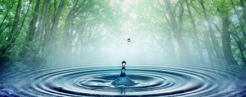 Canadian Leak Detection of Toronto