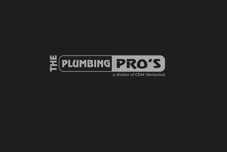 The Plumbing Pro’s