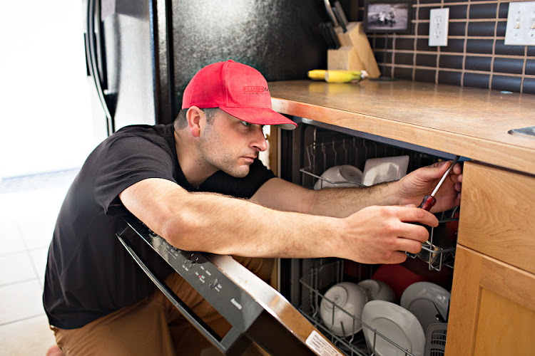 Flush Masters Plumbing & Drains
