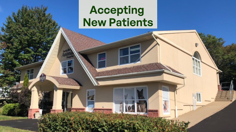 Sackville Animal Hospital