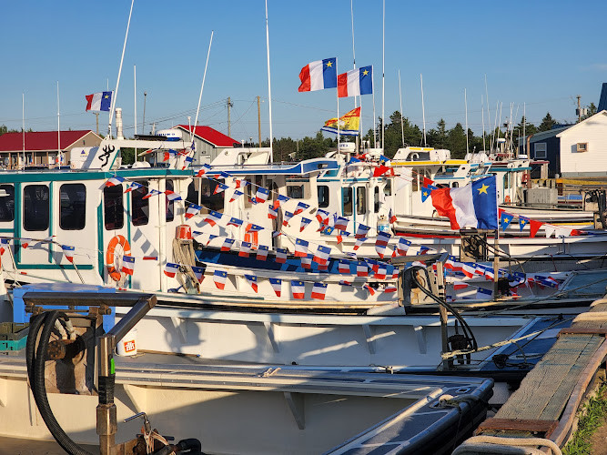 Camping De La Dune