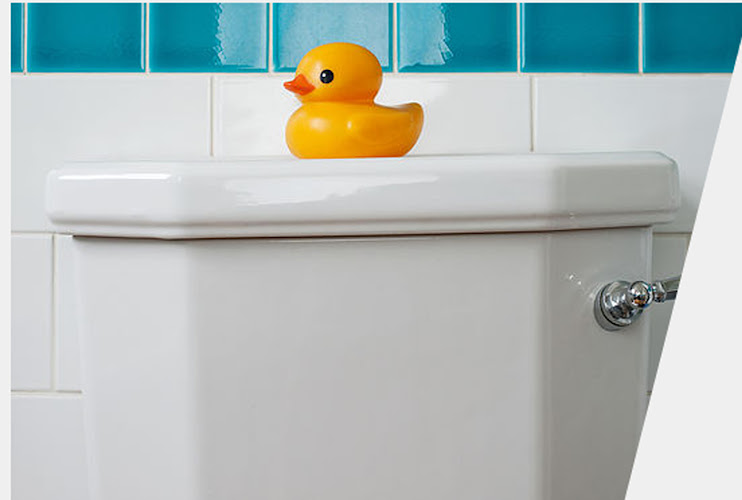 True Flush Plumbing & Heating