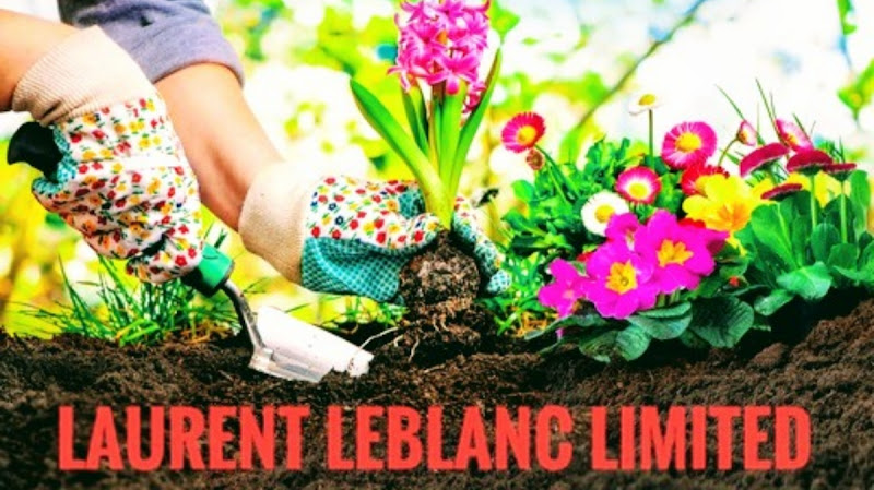 Laurent Leblanc Limited