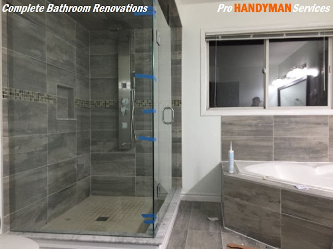 Pro Handyman Services